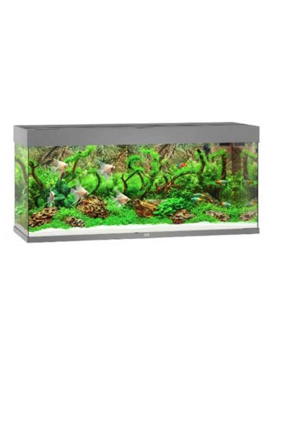 Juwel Rio 350 LED Grey