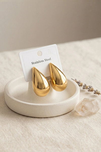 shopwave 316L Steel Gold Color Drop Model Earrings