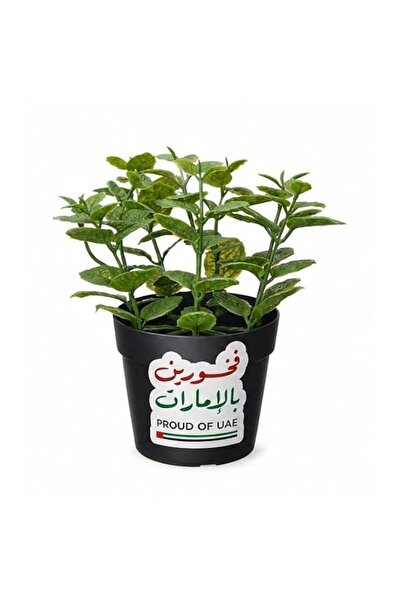Generic Brand Proud of UAE Artificial Plant Pot, Arabic فخورين بالإمارات Desi...