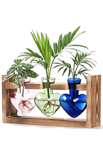 Generic Tazweeq Heart Shaped Propagation Stations, 3pcs Plant Terrarium with ...