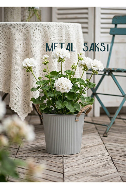 Via Gardenia Metal Saksı Jüt Saplar 16x16cm