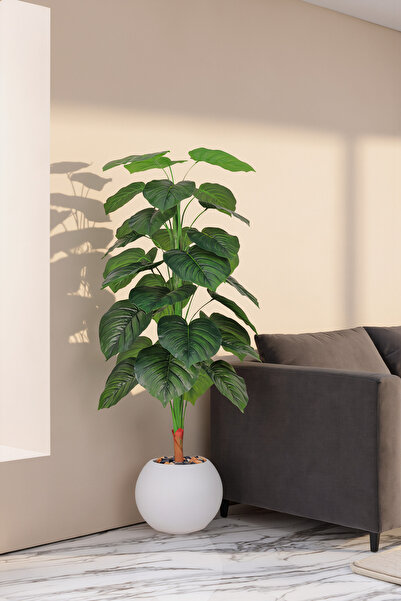 MARIA HOMES 155 cm Artificial Heart Leaf Tree with Round White with Pot – Mod...