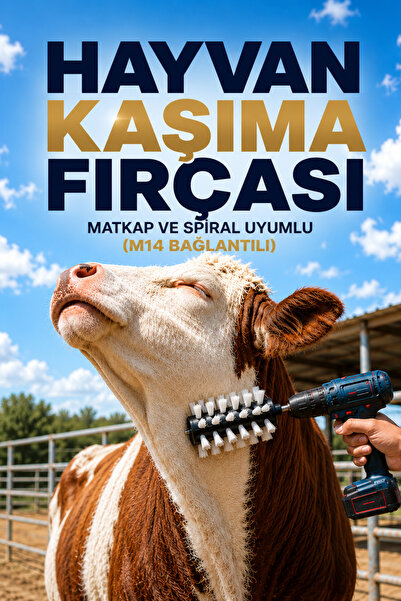 Baysan Fırça Büyükbaş Hayvan Kaşağı Fırçası Sığır At Tüy Temizleme Kaşıma Fır...