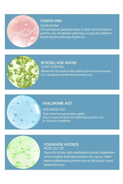 Discover Beauty Style 30 Ml Herbal Stem Cell and Salmon DNA Skin Serum