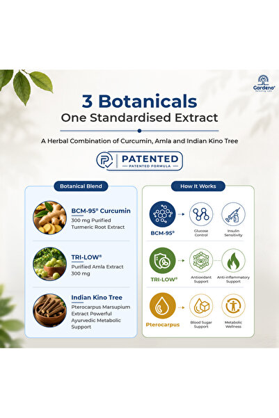 Gardeno Nurturing LIfe Gardeno Dia Blend | Turmeric BCM-95 + Amla | Blood Sugar Support | 60 Caps 750mg