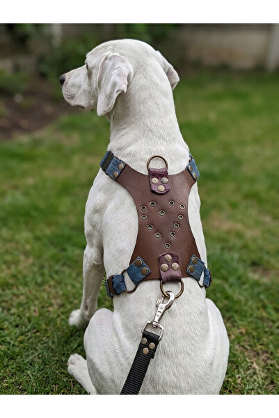 balkonda Köpek Göğüs Tasması Çift Taraflı Model Orta & Büyük Irk Ayarlanabili...