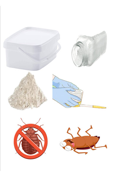 wipest Diyatomlu Doğal Tatlısu Toprağı 1kg Toz Tahtakurusu En İyi Zehirsiz İl...
