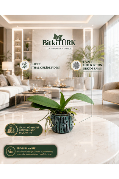BitkiTÜRK 🌸 İTHAL Özel Seçim – 2’li Karışık Renk Orkide Fidesi 🌸