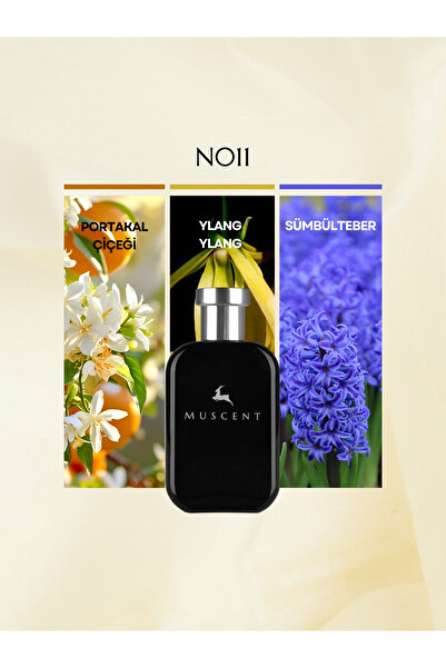 MUSCENT N011 Marfaa 50 ml.
