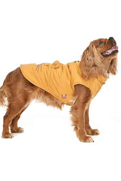 Petza Small and Medium Breed Dog Coat - Nerpa