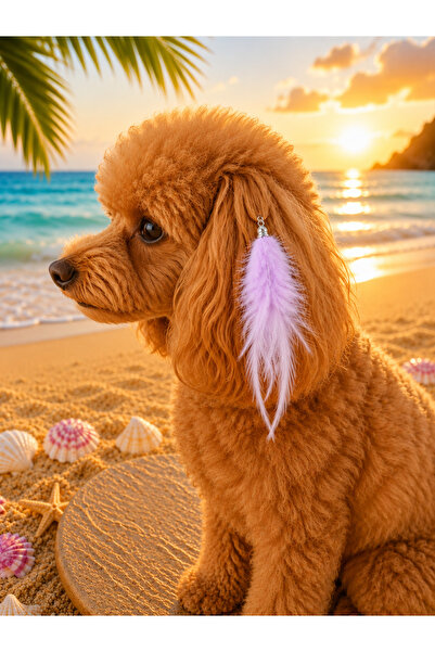 LOOL PREMİUM Köpek tüy toka poodle yorkshire pomerian toka