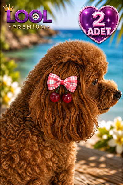 LOOL PREMİUM Köpek toka kiraz toka kurdele toka poodle yorkshire