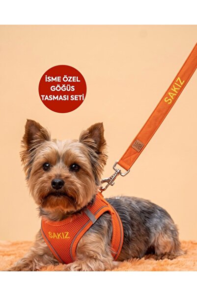 LUSİ-DOOG Kişiye Özel 2'li Köpek Tasma Seti İsimli Airmesh Köpek Göğüs Tasmas...