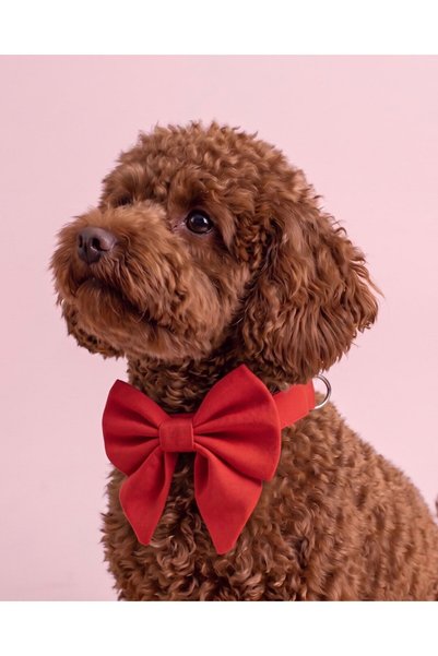 LUSİ-DOOG Dog Collar with Red Bow Tie Special for Female Dogs Bow Collar
