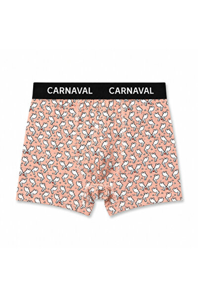 CARNAVAL SOCKS CARNAVAL Ανδρικά μποξεράκια από βαμβάκι Premium με σχέδιο κουν...