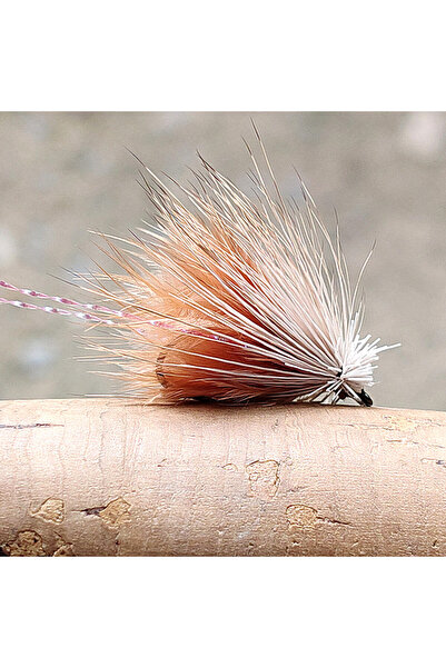 Choice G-31-1-brown 5pcs Imitation Caddis, a Common Type of Dry Fly Fishing F...