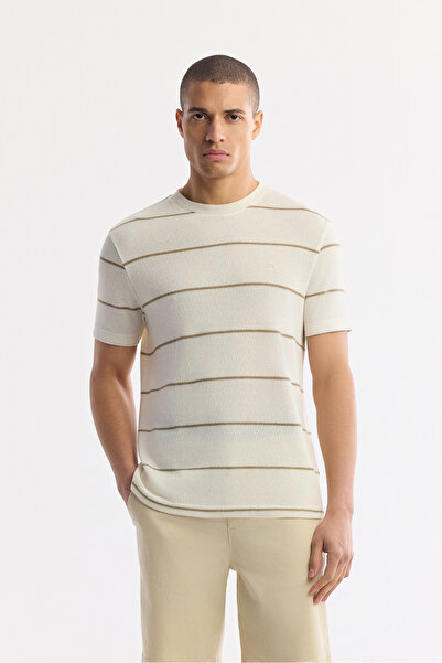 Avva Erkek Bej Bisiklet Yaka Çizgili Pamuklu Regular Fit T-Shirt A51Y1148