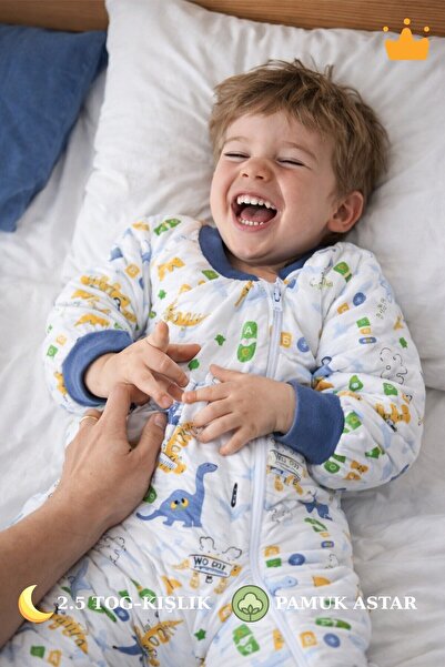 Babyhola كيس نوم شتوي للأطفال مبطن بالقطن 2.5 TOG مملوء بالألياف السميكة للجن...