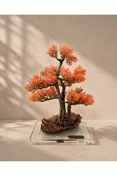 Decoroon Dekoratif Kare Epoksi Tabanlı Bonsai Ağaç Modeli – El Yapımı Masa Üs...