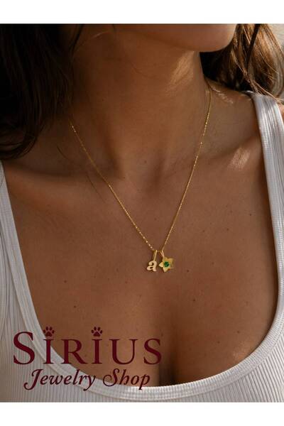 sirius jewelry 925 Gümüş | Çiçekli Doğum Ayı Taşlı Harf Kolye