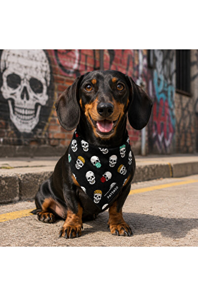 PATİMİO Skull Kedi Ve Köpek Tasma Fular Bandana