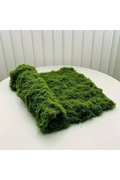 choice2 1Pc green 20' X 20' Faux Moss Mat for Plants Indoor Green for Decorat...