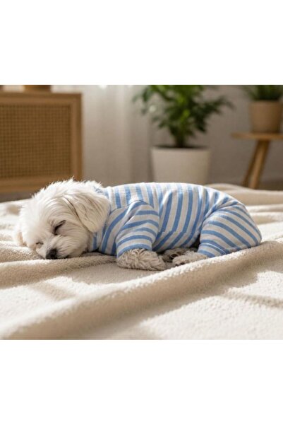 GedyCo The Best Blue Striped Küçük Irk Köpek Penye Tulum Pijama