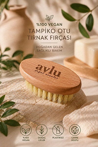 Avlu Doğal Ürünler %100 Vegan Tampiko Otu Tırnak Fırçası – Doğal Ahşap El ve ...