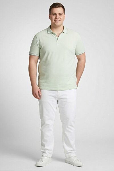 CELIO Men Regular Fit Solid Short Sleeve Polo Shirt, Light Green