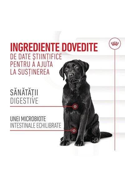 Royal Canin Digestion Chews Suplimente pentru susținerea digestivă pentru câini adulți 160 g
