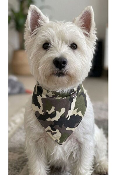 KEDİ KÖPEK KAMUFLAJ ÜÇGEN DÜĞMELİ FULAR BANDANA