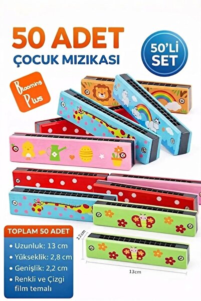 Blooming Plus 50 ADET Karışık Renk Mızıka