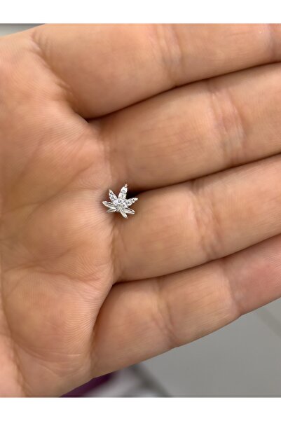 Hicrans Takı MİNİ YAPRAK MODEL GÜMÜŞ RENK ÇELİK HELİX TRAGUS KÜPESİ
