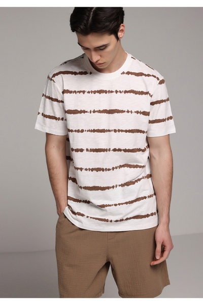 Colin's Regular Fit Round Neck Striped Men's Brown Short Sleeve T-Shirt