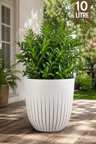GİNZAMAİSON 10 Litre Line Model Dekoratif Çizgili Saksı – İç Mekan & Balkon K...