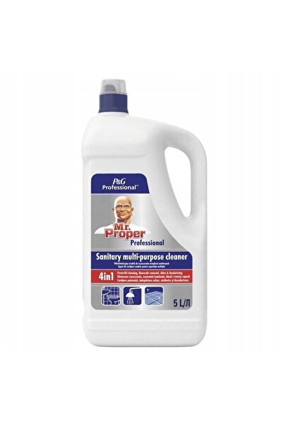 Mr Proper Domnul. Proper Professional sanitar 5l