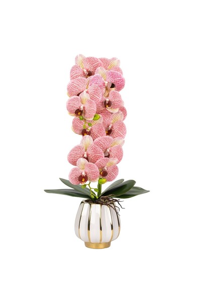 Naimeed Company -looking orchid in a ceramic pot, 79 cm, Naimeed D6899, Pink