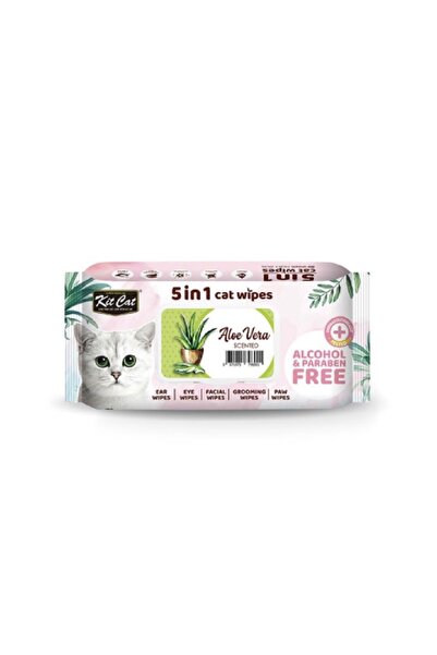 Kit Cat Kitkat Scented Tissues 5 in 1, Aloe Vera Plant 80 Tissues