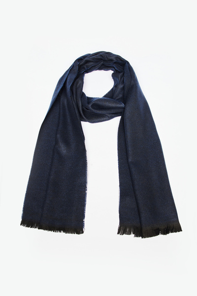 AC&Co / Altınyıldız Classics Men's Navy Blue Patterned Warm Scarf