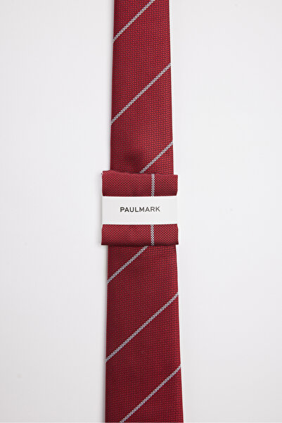 PAULMARK Men's Striped Jacquard Textured Tie