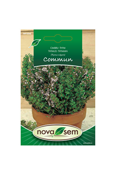 Novasem Seminte de cimbru Novasem, 0,1 g