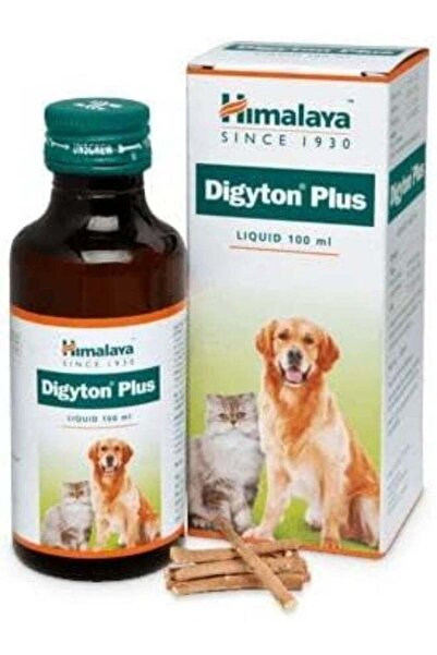 Himalaya Digyton for Dogs and Cats Digestion and Tummy Upsets 100ml From Varmacy