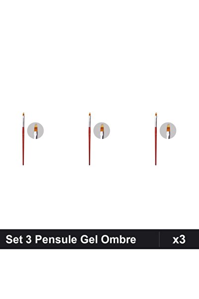 NAİLS Set 3 Pensule Gel Ombre Oranjollie, Manichiură Profesională, Aplicare U...