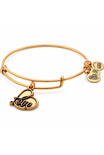 Alex and Ani Bratara Metal A17EB05RG
