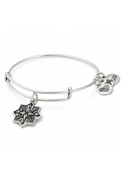Alex and Ani Bratara Metal A17EBHLRS