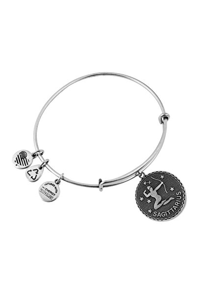 Alex and Ani Bratara Metal A07EB40SARS
