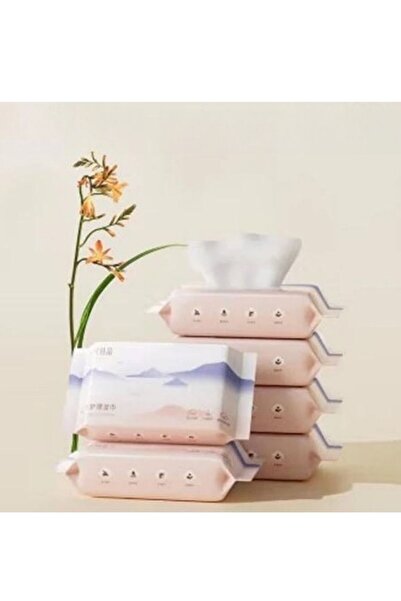 Be a better mom Ultra Soft Toilet Wipes Gentle and Skin Friendly, 20 Sheets P...