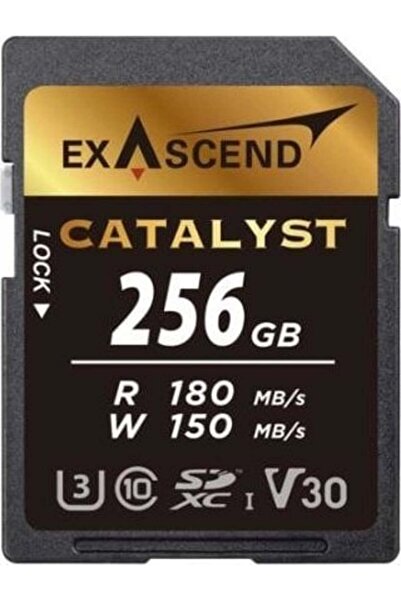 exascend Karta Catalyst SDXC 256 GB Class 10 UHS-I/U3 V30 (EX256GSDU1)
