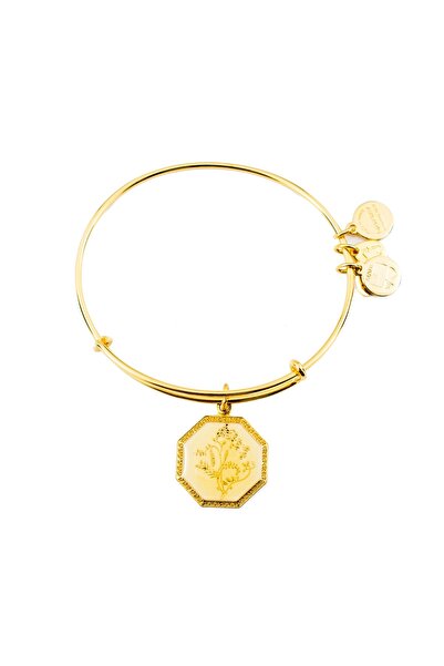 Alex and Ani ΓΥΝΑΙΚΕΙΟ ΒΡΑΧΙΟΛΙ A14EB92YG (20ΕΚ.)