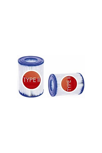 ATİN Set of 2 Type II filters for Bestway 58094 pool,